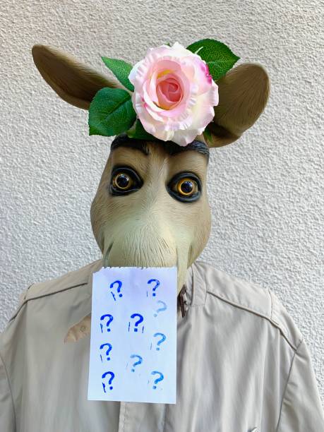 istock Donkey man with rose and questions marks on white background 1053427832