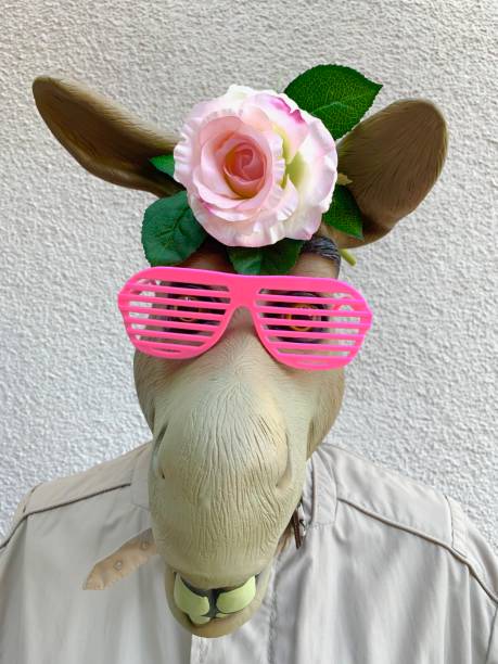 istock Donkey man with rose an pink sunglasses on white background 1053429710