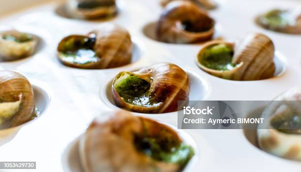 Snails Stock Photo - Download Image Now - Butter, Edible Snail, Escargot