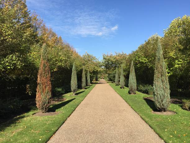 istock Regent's Park London 1053431750