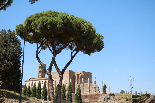 istock View to Forum Romanum in Rome, Italy 1053433362