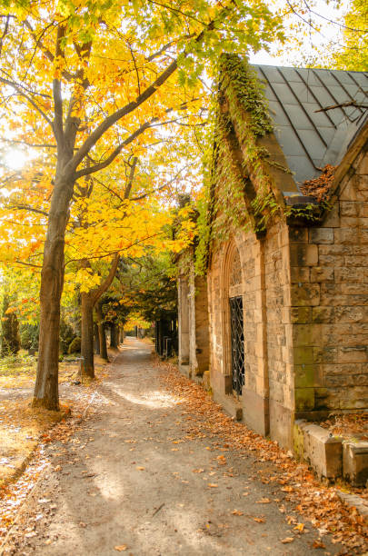 istock a cemetry avenue in autumn with trees withs yellow leafs 1053434146