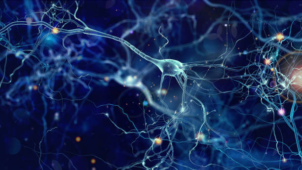 Neurons cells concept Conceptual illustration of neuron cells with glowing link knots in abstract dark space, high resolution 3D illustration nerve cell stock pictures, royalty-free photos & images