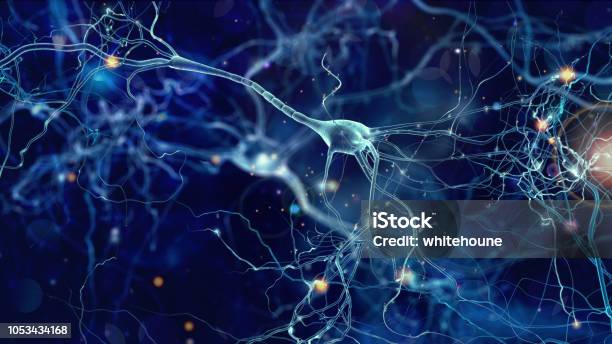 Neurons Cells Concept Stock Photo - Download Image Now - Nerve Cell, Human Nervous System, Synapse