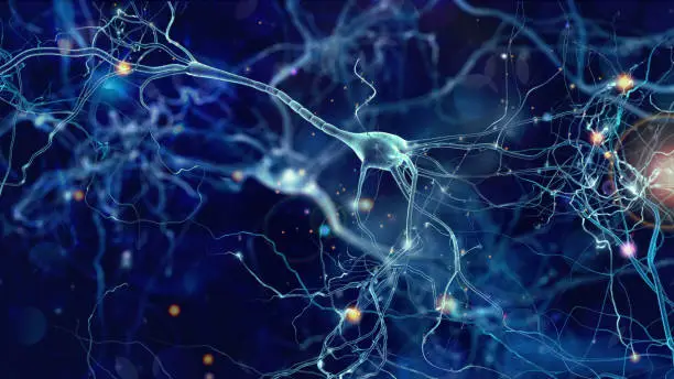 Photo of Neurons cells concept