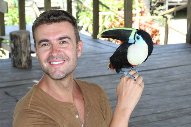 istock Man holding a colourful toucan bird 1053436710