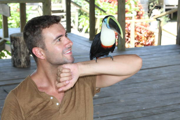 istock Man holding a colourful toucan bird 1053436722