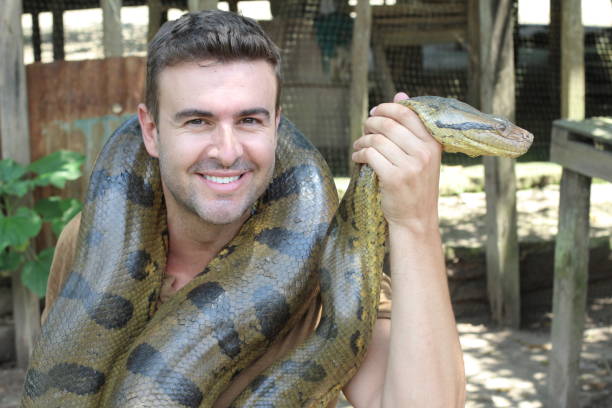 istock Man with a giant Anaconda around his neck 1053436782