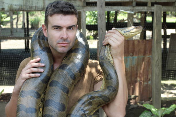 istock Strong man holding gigantic anaconda 1053436792