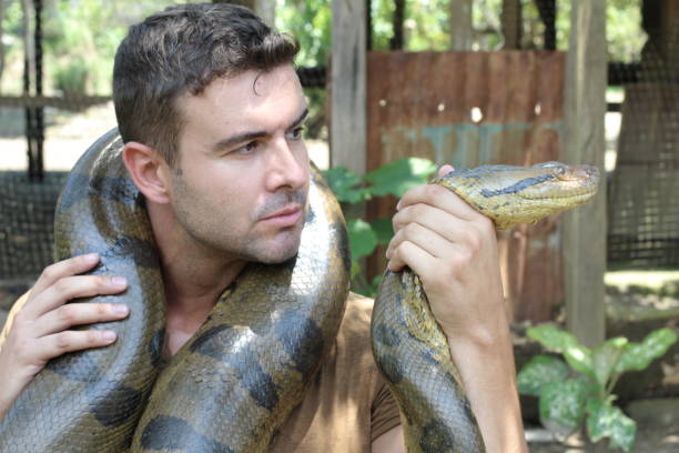 istock Brave man fighting a gigantic snake 1053436796