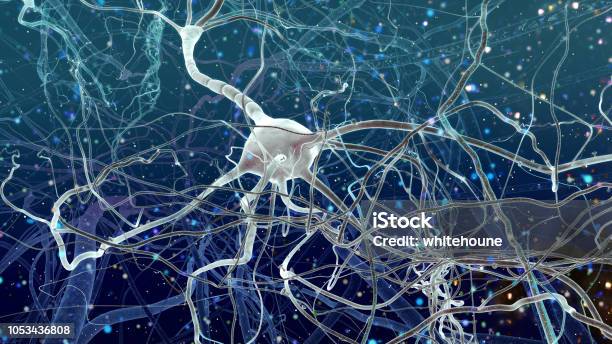 Inside Of Brain Stock Photo - Download Image Now - Nerve Cell, Chaos, Connection