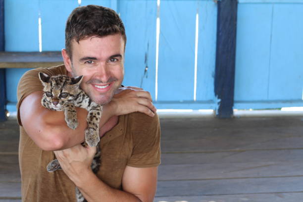 istock Handsome man holding a baby ocelot 1053436812