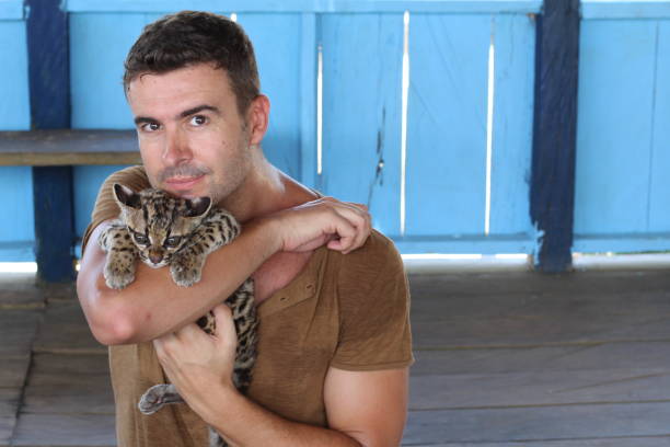 istock Handsome man holding a baby ocelot 1053436820