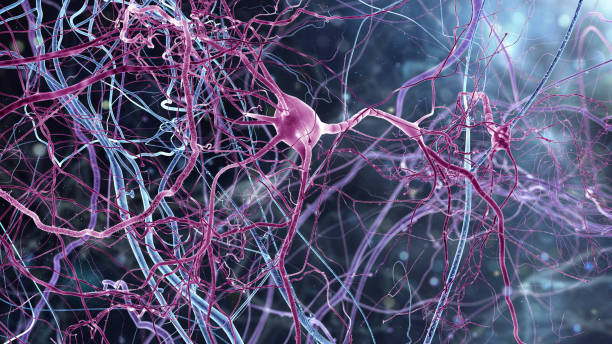 istock Amazing world of braincells 1053437016