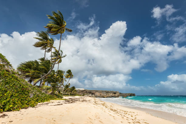 istock Bottom beach in Barbados island, Caribbean 1053438940