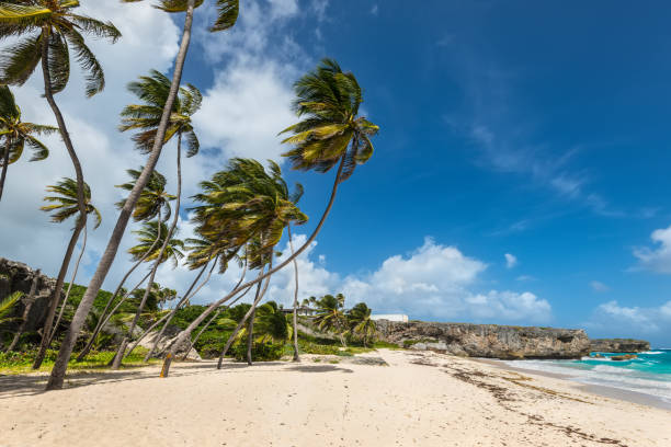istock Bottom beach in Barbados island, Caribbean 1053438950