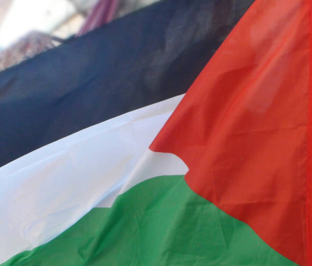 istock Palestine National Flag Waving View. Palestine 1053443670