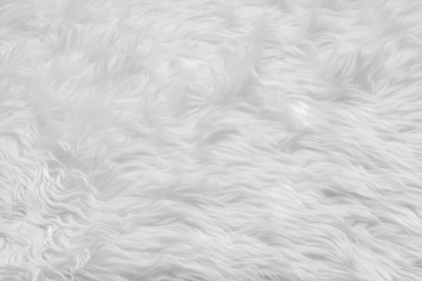 白い絨毯のフルフレームショット