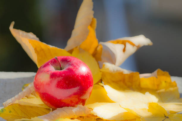 Red apple and autumn leaves. Golden autumn in still life. Season autumn concept. Fall with golden leafs and apple.