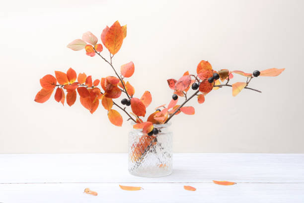 istock Branches with red leaves in vase in interior in autumn time. 1053457092