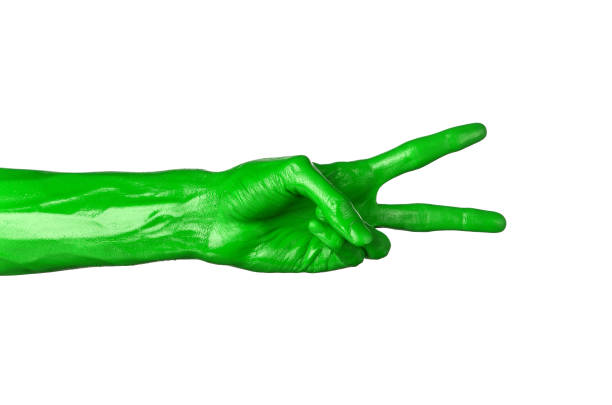 istock Green hand on white background, isolated, paint 1053458990