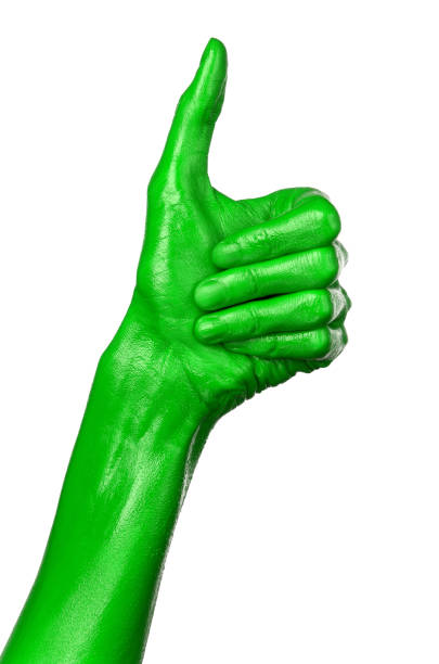 istock Green hand on white background, isolated, paint 1053459114
