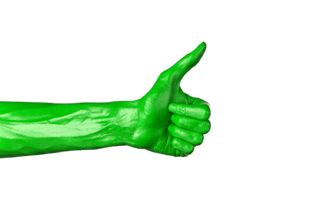 istock Green hand on white background, isolated, paint 1053460236