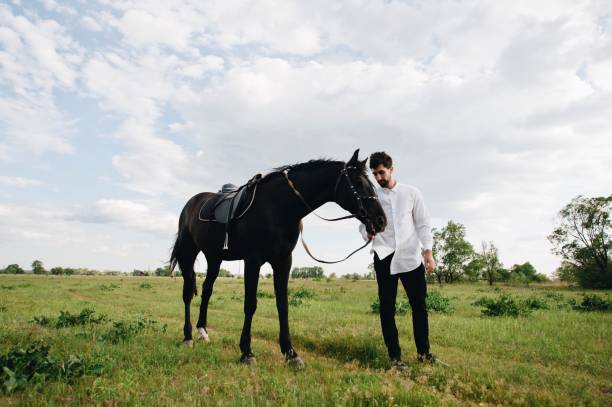 istock Man With Horse On Field 1053460238