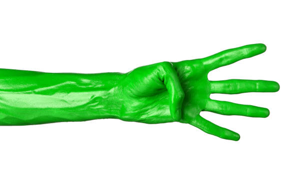 istock Green hand on white background, isolated, paint 1053460434