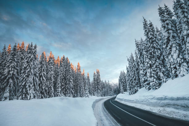istock Winter Road Through The Snowcapped Landscape 1053475750