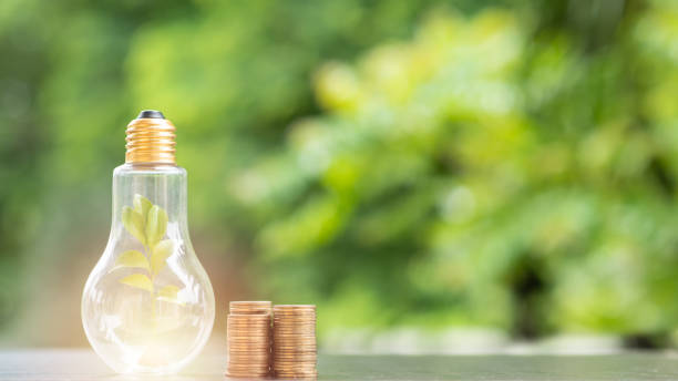 energy saving. tree in light bulb and stacks of coins on nature background. saving, natural energy and financial concept. - power saving imagens e fotografias de stock
