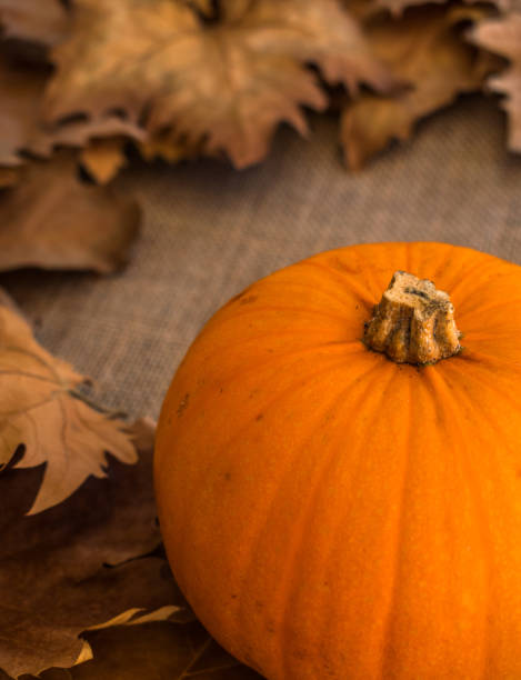 istock Autumn dry leaves with pumpkin 1053479678