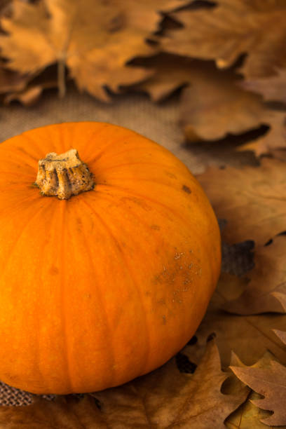 istock Autumn dry leaves with pumpkin 1053479964
