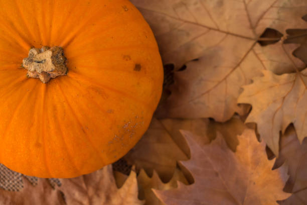 istock Autumn dry leaves with pumpkin 1053480042