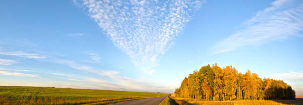 istock Road through the field, autumn sunset 1053484906