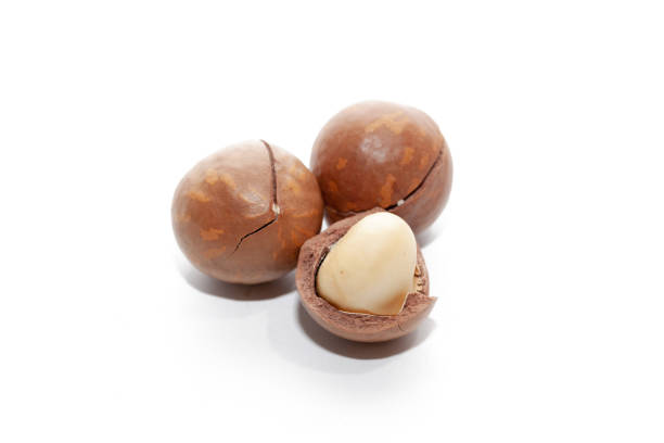 istock close up of organic macadamia nut on white background 1053488680