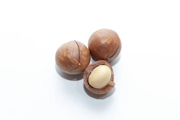 istock close up of organic macadamia nut on white background 1053488760