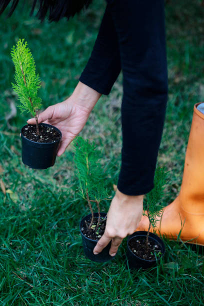istock Hand Holding New Life 1053495960