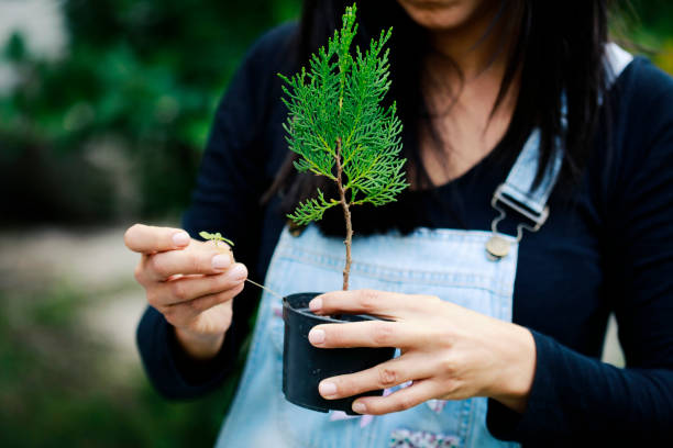 istock Hand Holding New Life 1053496934