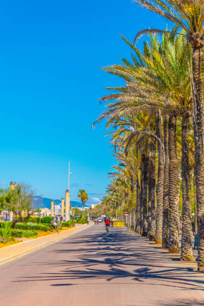 istock Seaside promenade at Palma de Mallorca, Spain 1053497264