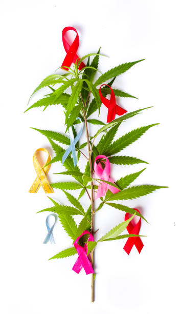 marijuana leafs with cancer awareness symbols - photography sign table ganja imagens e fotografias de stock