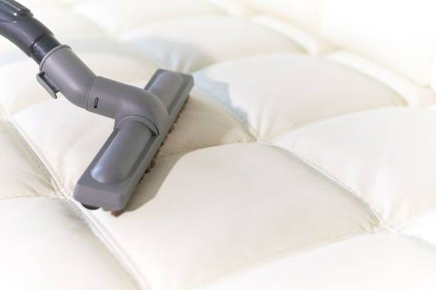 istock The vacuum cleaner brush is on the leather sofa. 1053498638