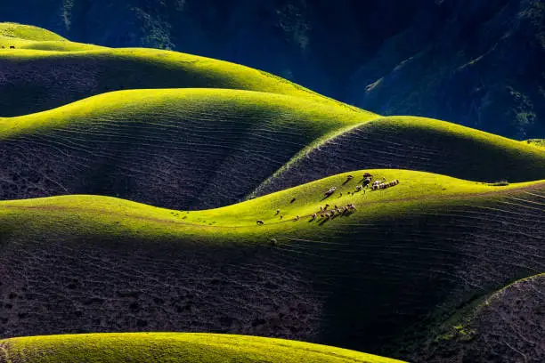 Karajun grassland,xinjiang,china.