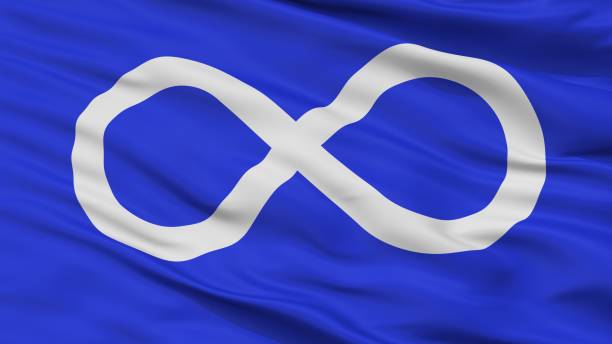Metis Blue Indian Flag Closeup