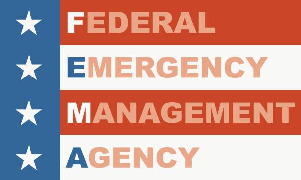 미국 정부 개념 약어 - federal emergency management agency stock illustrations
