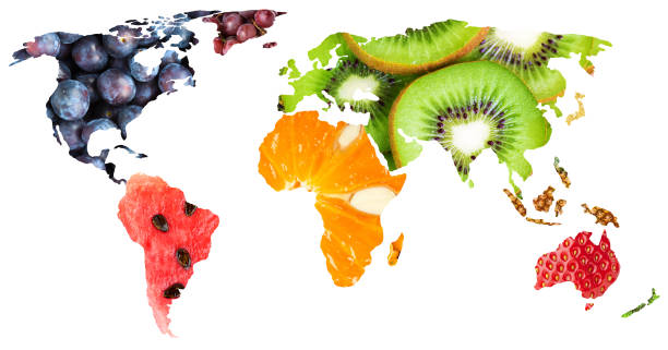 istock Collage of fresh mixed fruits. World map 1053505122