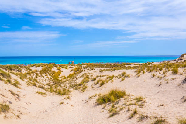 istock Sand dunes at Cala Mesquida, Mallorca, Spain 1053508880