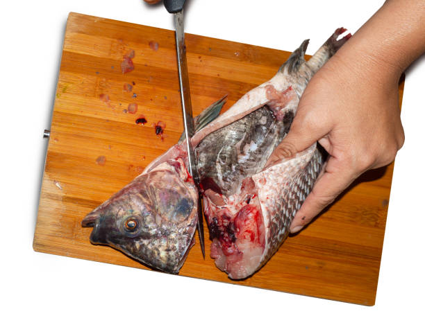 istock Fresh Fish Chef,cut fish fillet in a fish shop. 1053509662
