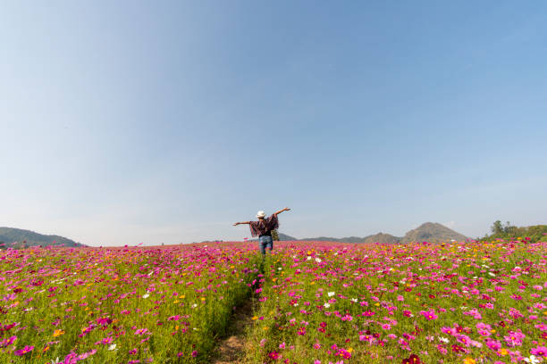 Beautiful young woman enjoy in flower cosmos pink park with Sky Background. with copy space for your or content