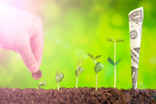istock bussiness investment:coin growing in soil on green background 1053515568